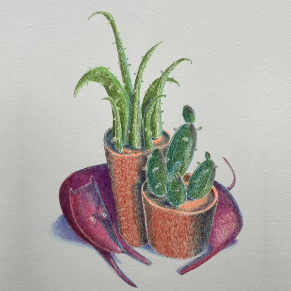 dessin-crayon-bic-scene-cheinetcactus